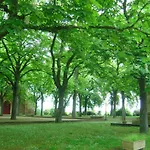 L'atelier Du Huchier