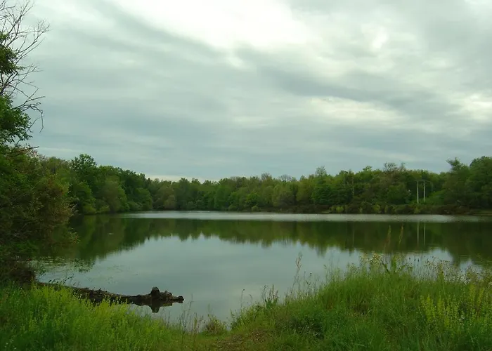 L'atelier Du Huchier